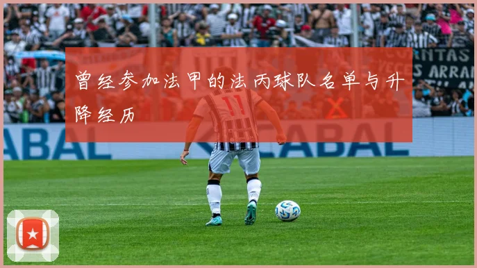 曾经参加法甲的法丙球队名单与升降经历