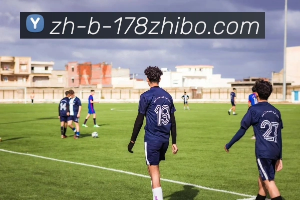 178体育直播平台生态图